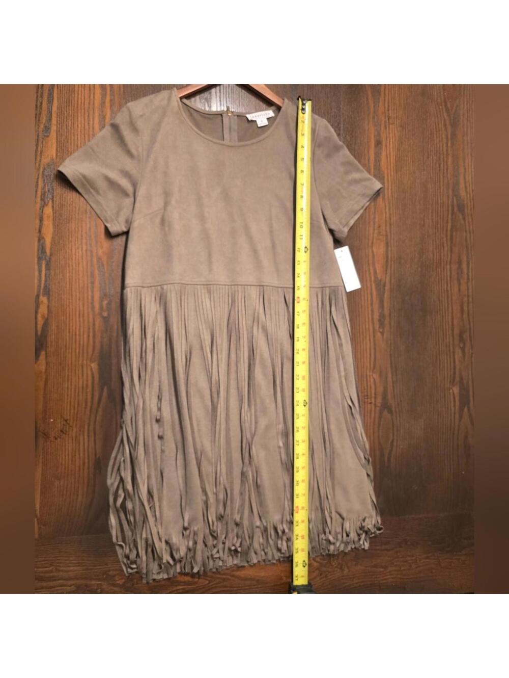 Love Riche Taupe Faux Suede Fringe Dress Boho Western Gypsy NWT Medium - Picture 4 of 6